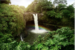 Waterfall hawaii