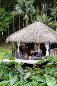WellnessSpaces BlueGreen massage vertical